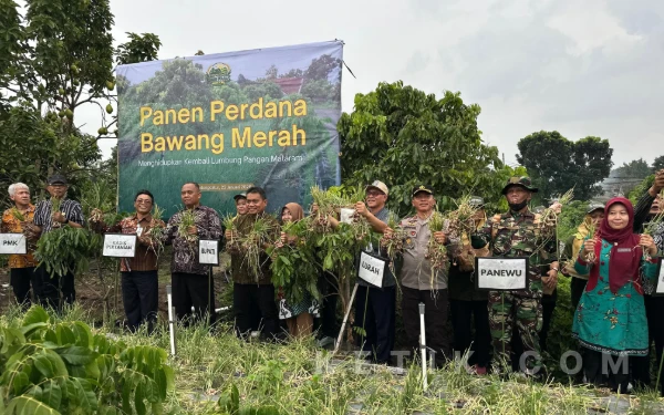 Thumbnail Berita - Menghidupkan Kembali Lumbung Pangan Mataram, Bupati Sleman Panen Bawang Merah di Sugih Waras Farm