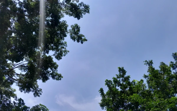 Thumbnail Berita - BMKG: Cuaca Kota Jakarta 24 Januari 2026 Diprakirakan berawan, Gorontalo Cerah