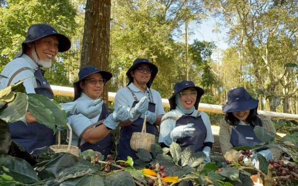 Thumbnail Berita - Canaya, Kopi Spesialti yang Lahir dari Proses Panas Bumi