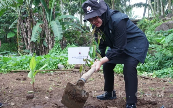 Thumbnail Berita - Bersama Bupati Ipuk, PDI Perjuangan Banyuwangi Tanam Pohon dan Tebar Benih Ikan di Sumber Waras