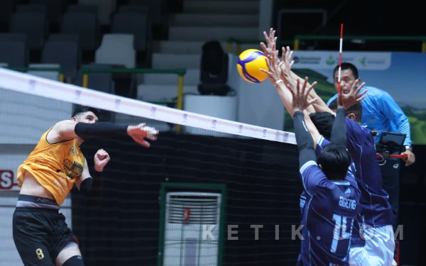 Thumbnail Berita - Proliga 2026 Seri Gresik, Bhayangkara Presisi Pastikan ke Final Four Usai Kandaskan Surabaya Samator 3-0