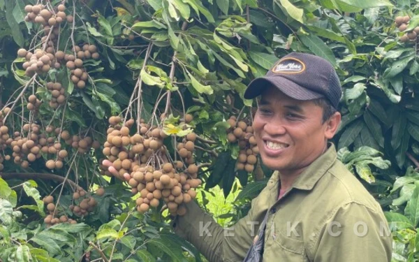Thumbnail Berita - Asrinya Kebun Kelengkeng Bandungrejo Bojonegoro, Destinasi Favorit Baru Liburan Keluarga