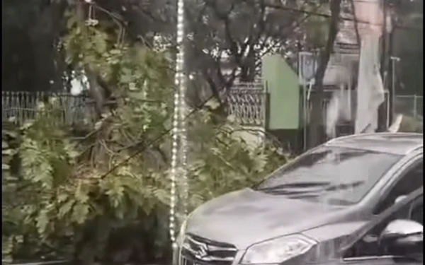 Thumbnail Berita - Hujan Deras Disertai Angin Kencang, Tim Call 112 Surabaya Respon Cepat Tangani 26 Pohon Tumbang di Sejumlah Titik