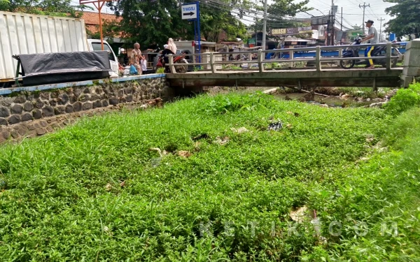 Thumbnail Berita - Sungai Apa Lapangan? Kali Aji Kaliwungu Terancam Hilang Ditelan Sedimen dan Rumput, Warga: Tolong Segera Dikeruk!