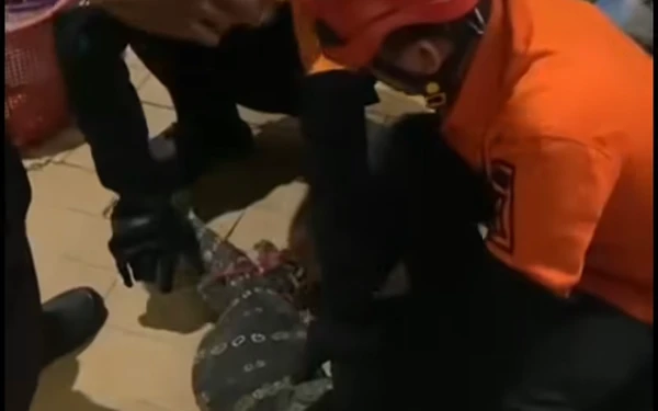 Thumbnail Berita - Masuk Rumah Warga Rejosari Makmur, Biawak Sepnjang 1,5 Meter Dievakuasi Petugas BPBD Kota Surabaya