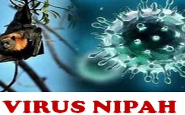 Thumbnail Berita - Waspada Virus Nipah: Fatalitas Tinggi, Pakar UGM Ingatkan Pentingnya Deteksi Dini dan Kesiapan Sistem Kesehatan