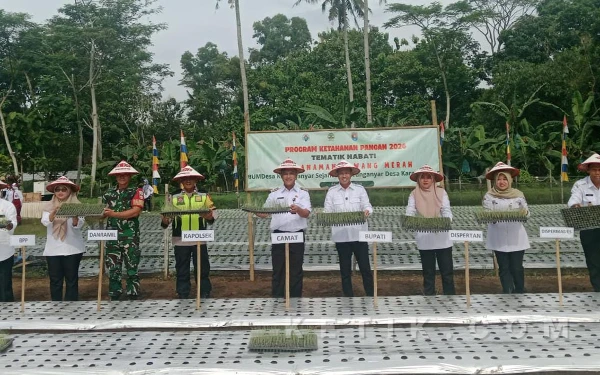 Thumbnail Berita - Bupati Cilacap Menanam, Desa Karanganyar Diproyeksikan Sebagai Sentra Bawang Merah