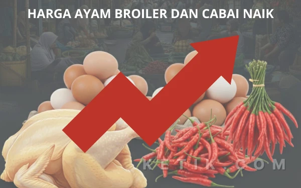 Thumbnail Berita - Cabai Rawit Tembus Rp100 Ribu Saat Ramadan, Harga Ayam Broiler di Kota Malang Ikut Melejit