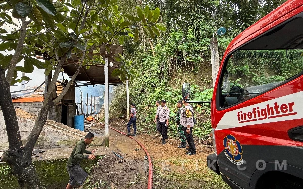 Thumbnail Berita - Kandang Ayam di Kanigoro Terbakar Hebat, 8.000 Anak Ayam Hangus dan Kerugian Capai Rp75 Juta