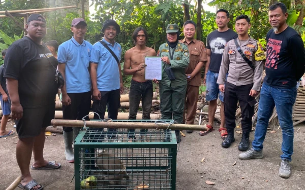 Thumbnail Berita - Balita di Jember Digigit Monyet Peliharaan Orang Tua, BKSDA Imbau Masyarakat Tak Pelihara Satwa Liar