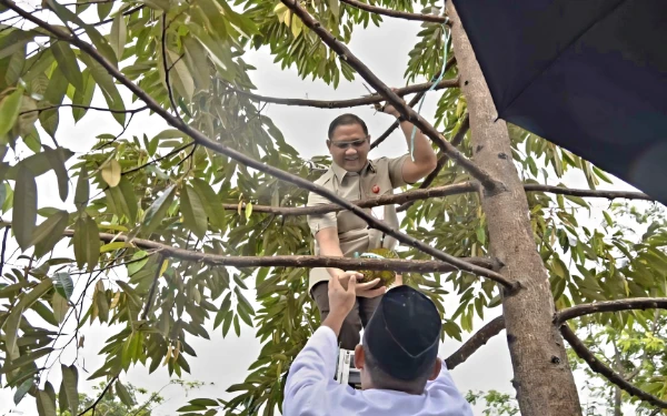 Thumbnail Berita - Kunjungan ke Cabdin Banyuwangi! Kadisdik Jatim Aries Agung Tiba-tiba Naik Pohon Panen Durian