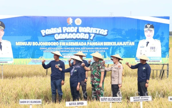 Thumbnail Berita - Wujudkan Swasembada Pangan Berkelanjutan, Pemkab Bojonegoro Gandeng UGM Panen Padi Varietas Gamagora 7