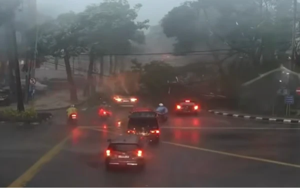 Thumbnail Berita - Hujan Deras Sebabkan Sejumlah Pohon Tumbang di Surabaya