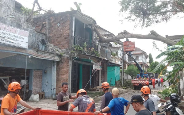 Thumbnail Berita - Diterjang Angin Kencang, Pohon 15 Meter Tumbang Timpa 3 Rumah di Muharto Kota Malang