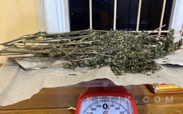 Thumbnail Berita - Terciduk Simpan Ganja dalam Celana, Dua Pria Asal Aceh Selatan Ditangkap di Abdya