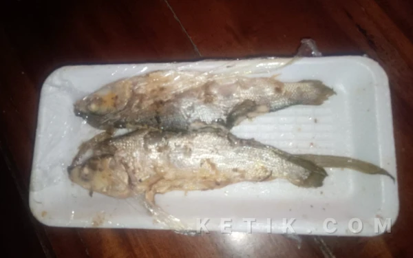 Foto Ikan Bandeng Presto dari SPPG Dalpenang Sampang (Foto: Mat Jusi/Ketik.com)