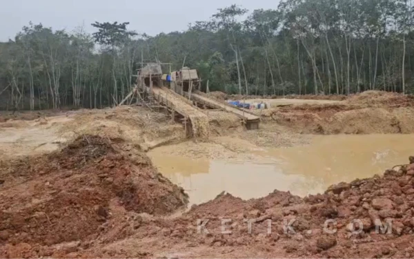 Foto Aktifitas Tambang Ilegal di Lahan Milik PTPN, Senin (9 Maret 2026).(Foto: Andriego/ketik.com)