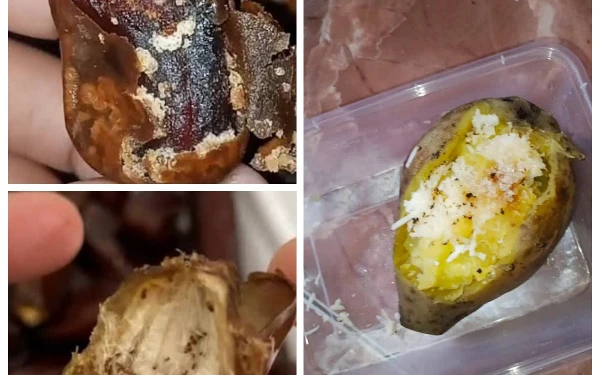 Thumbnail Berita - Sekelumit Masalah Menu MBG Lumajang: Telur Puyuh Busuk Sempat Ditemukan di Sukodono