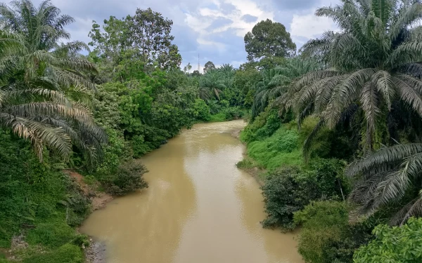 Foto Kondisi sungai berubah coklat diduga akibat aktivitas penambangan ilegal. (Wawan/ketik.com)