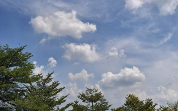 Thumbnail Berita - Prakiraan BMKG Minggu 22 Maret 2026: Jakarta Berawan, Semarang Diguyur Hujan