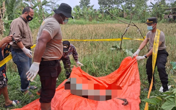 Thumbnail Berita - Heboh! Warga Banyuasin Temukan Jenazah Misterius di Area Persawahan