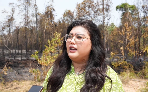 Thumbnail Berita - Tinjau Kebakaran Hutan, Deputi Pelayanan Umum BP Batam Imbau Masyarakat Waspada