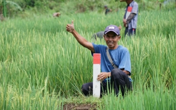 Mau Mudik? Jaga Batas Tanah sebagai Langkah Awal Cegah Konflik Antartetangga