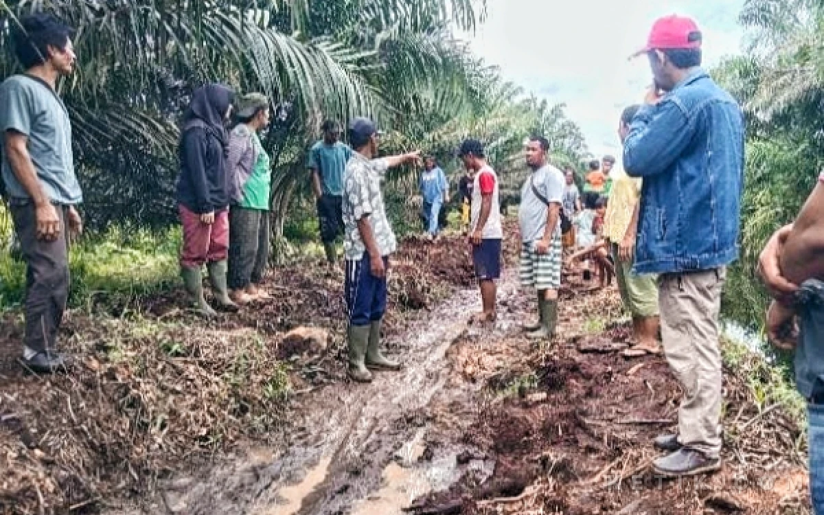 Thumbnail Berita - Jalan Panjang Siahaan CS Finis di MA, PT SMART Didenda Rp8,7 Miliar