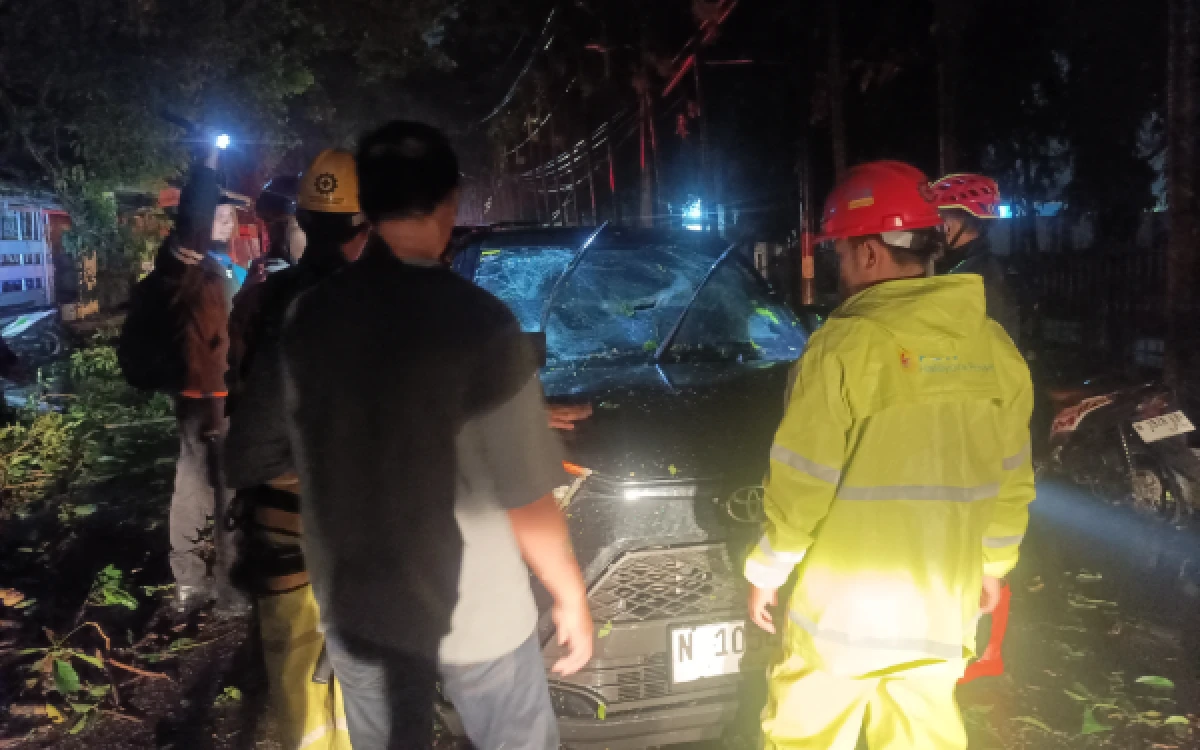 Thumbnail Berita - Kota Malang Diterjang Hujan Deras Dan Angin Kencang, Tiga Mobil Rusak Tertimpa Batang Pohon Tumbang
