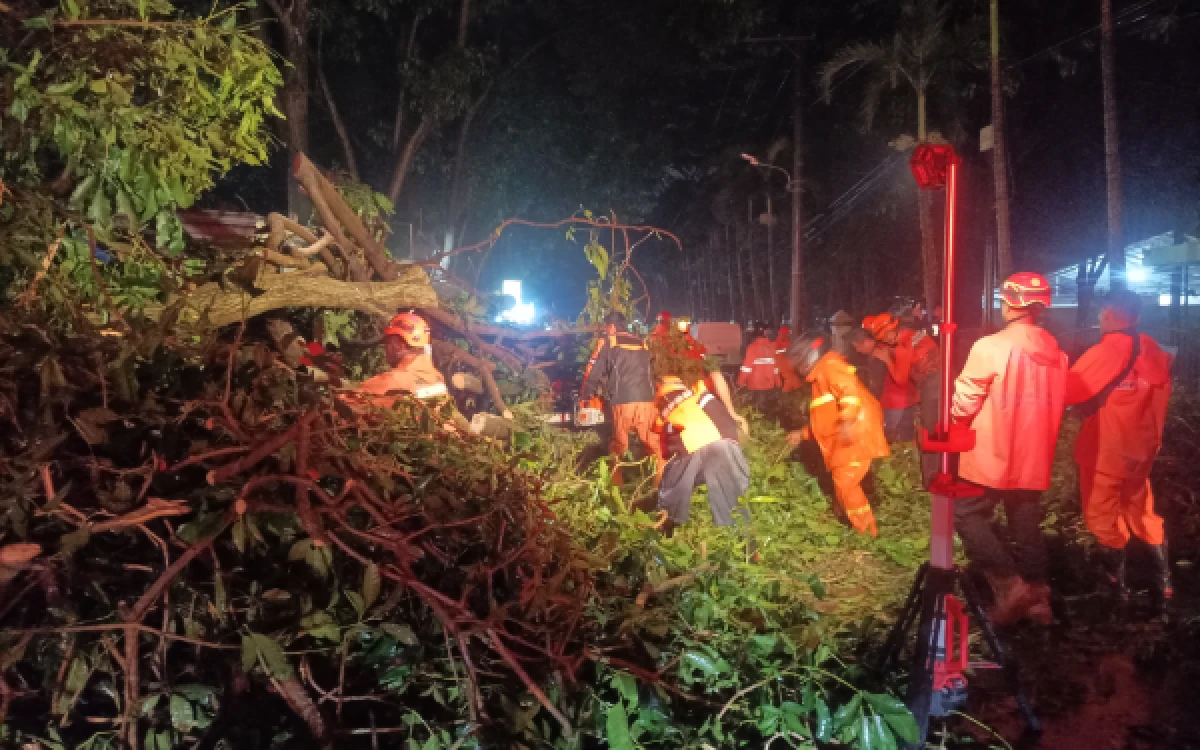 Foto Petugas dari BPBD dan DLH Kota Malang saat melakukan pemotongan dan evakuasi batang pohon tumbang di Jalan Lapangan Brawijaya Kecamatan Blimbing Kota Malang, Senin, 30 Maret 2026 (Foto : Kukuh / Ketik.com).
