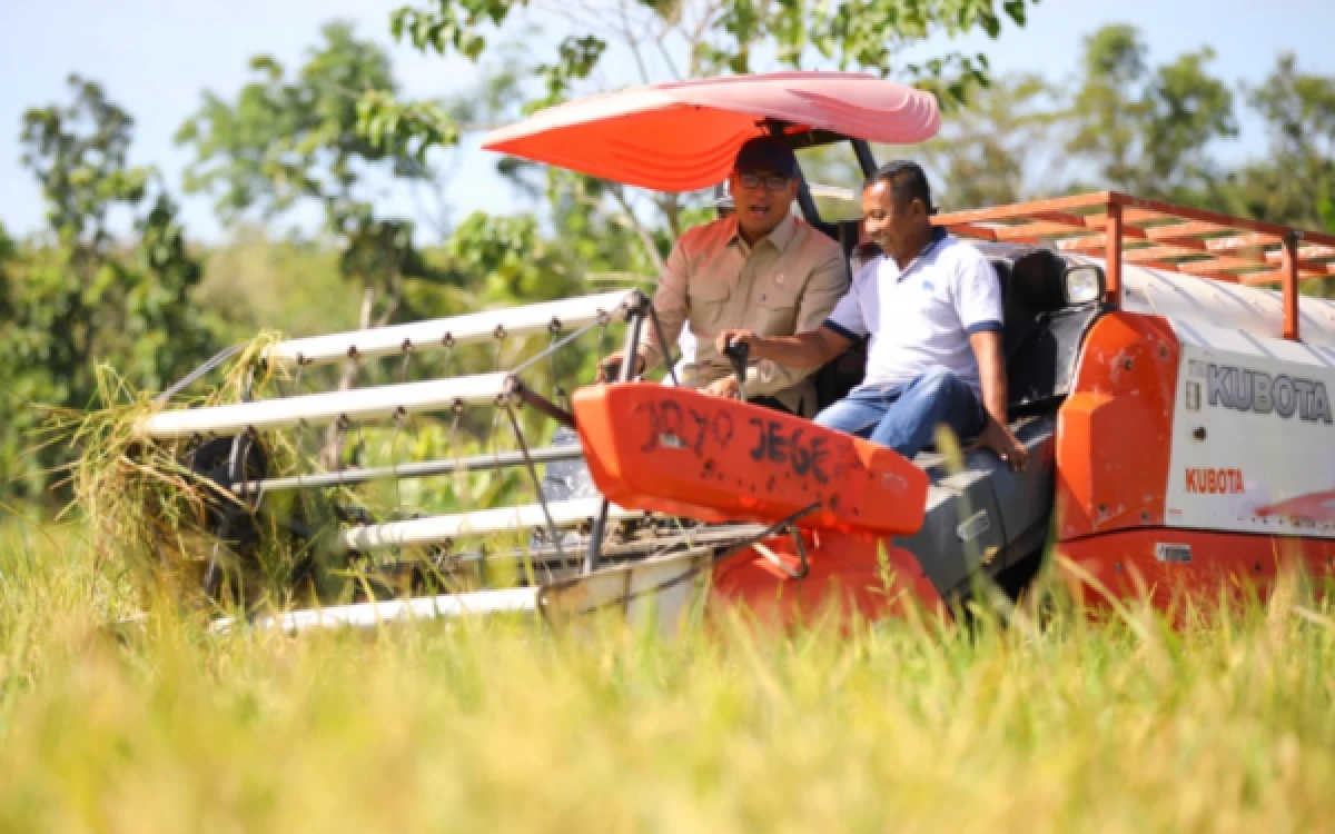 Thumbnail Berita - Alsintan Combine Harvester Bantuan Hilang di Jombang, Disperta Tunggu Hasil Penyelidikan Polisi