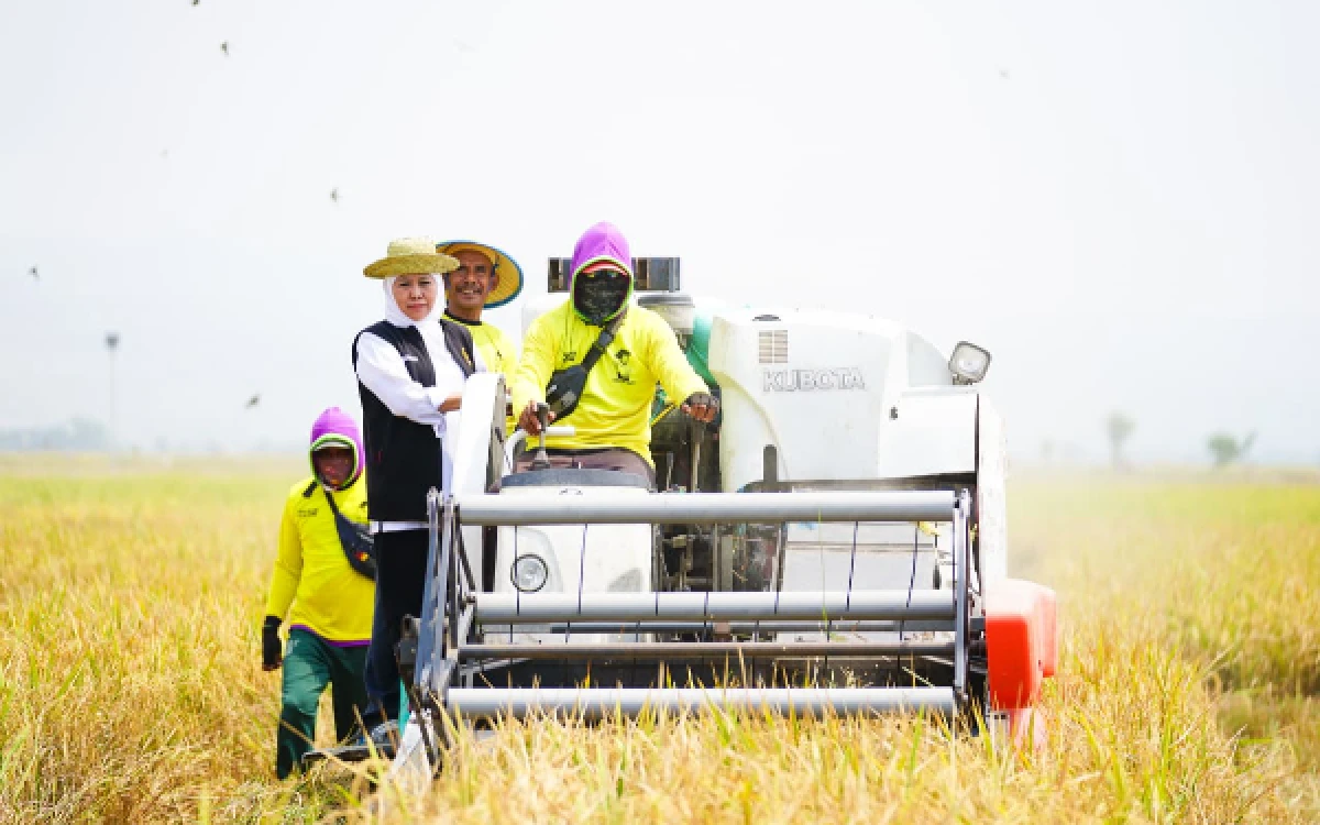 Thumbnail Berita - Antisipasi Kemarau 2026, Ini Langkah Konkret Gubernur Khofifah Jaga Produksi Pertanian Jawa Timur