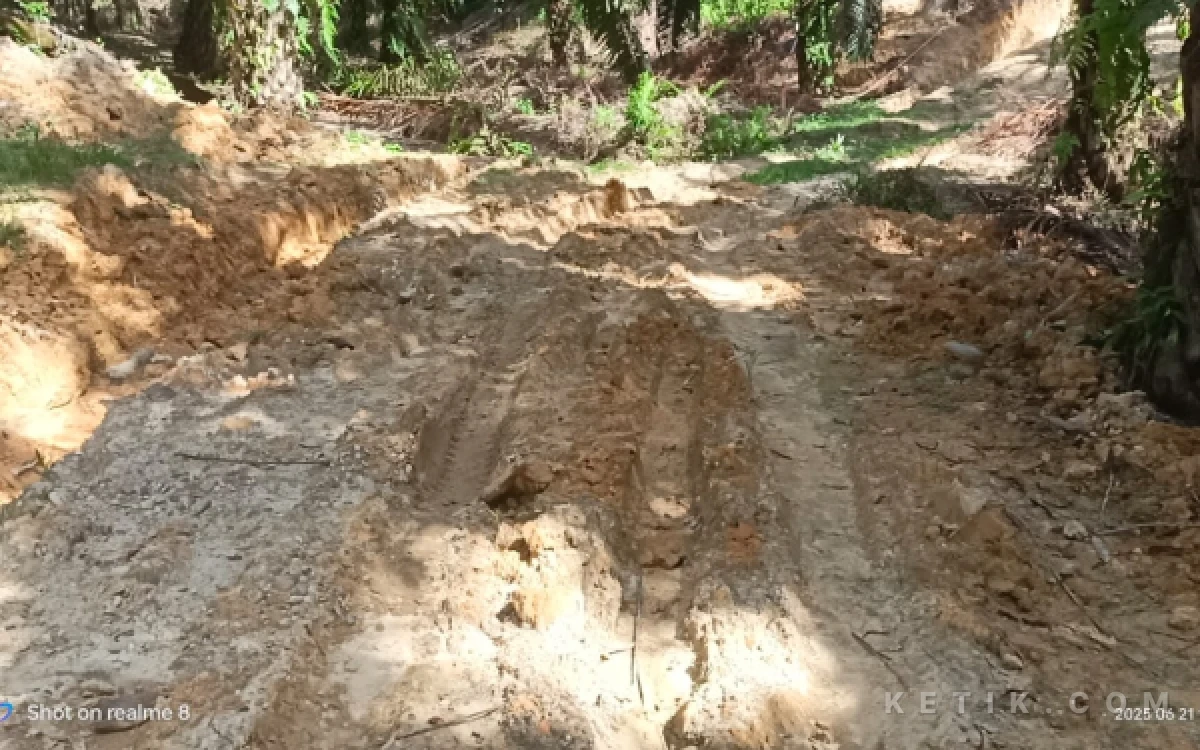 Thumbnail Berita - LSM CPN Minta Kajati Aceh Turun Audit Dugaan Mark-Up Proyek Sarpras Aceh Singkil