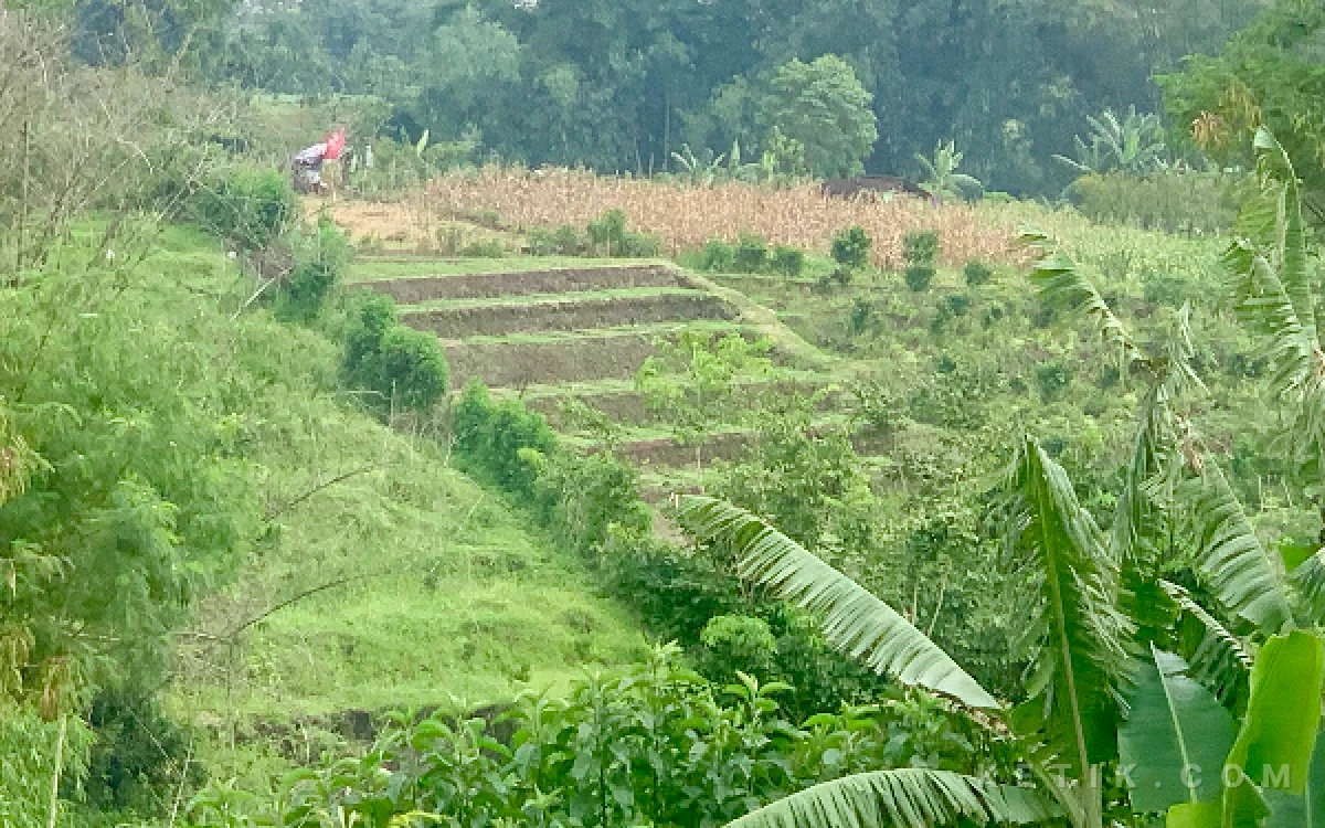 Thumbnail Berita - Wali Kota Batu Soroti Minimnya Terasering, Pemicu Banjir Luapan di Bumiaji