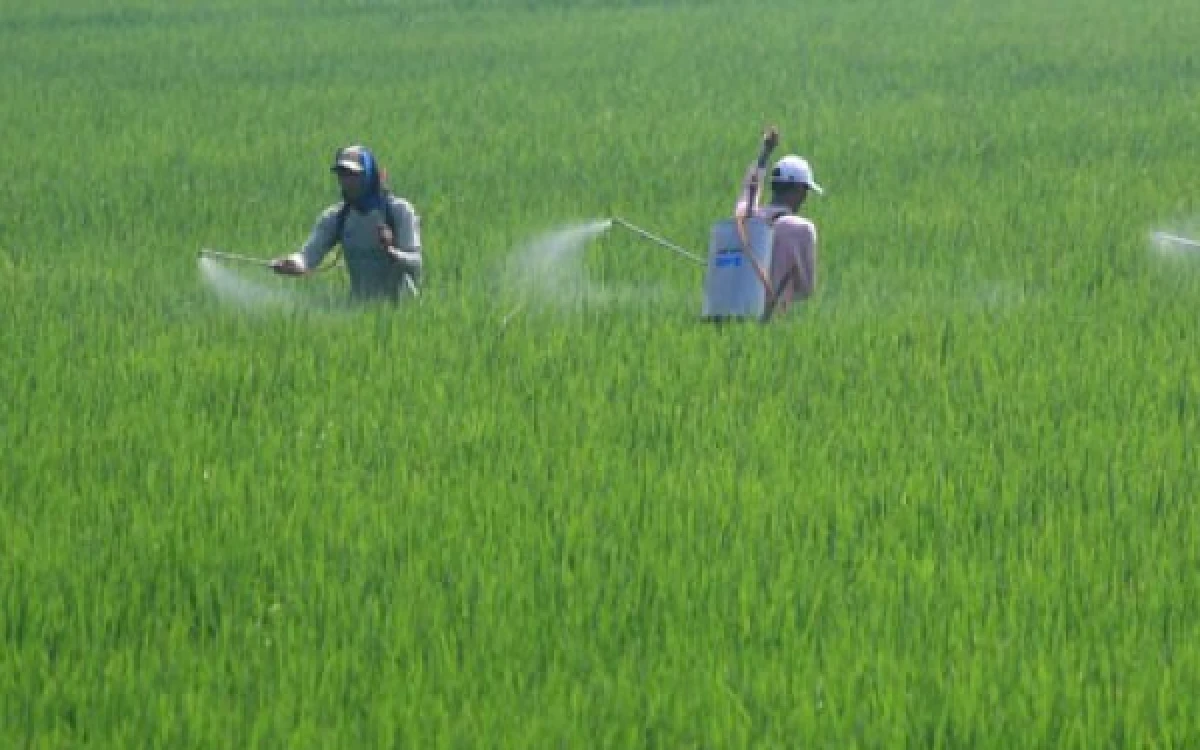 Thumbnail Berita - Geopolitik Global Tidak Stabil, Nusron Wahid Batasi Alih Fungsi Lahan Sawah demi Ketahanan Pangan