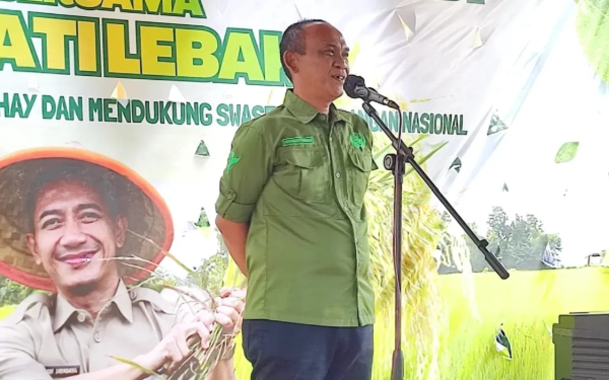 Thumbnail Berita - Produksi Beras Lebak Surplus, Stok Aman hingga Lebih dari Empat Bulan