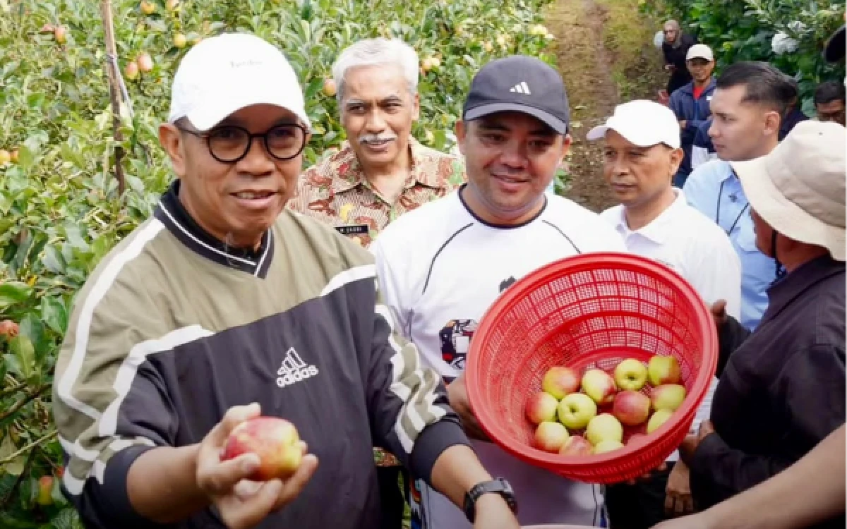 Thumbnail Berita - Jaga Ikon Daerah, Cak Nur dan Mas Heli Turun Langsung Panen Apel Bersama Petani