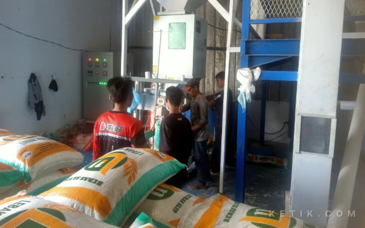 Foto Hasil proses beras lalu dilakukan kemasan yang berukuran 25 kg. (Foto: Abdul Kohar/Ketik.com)