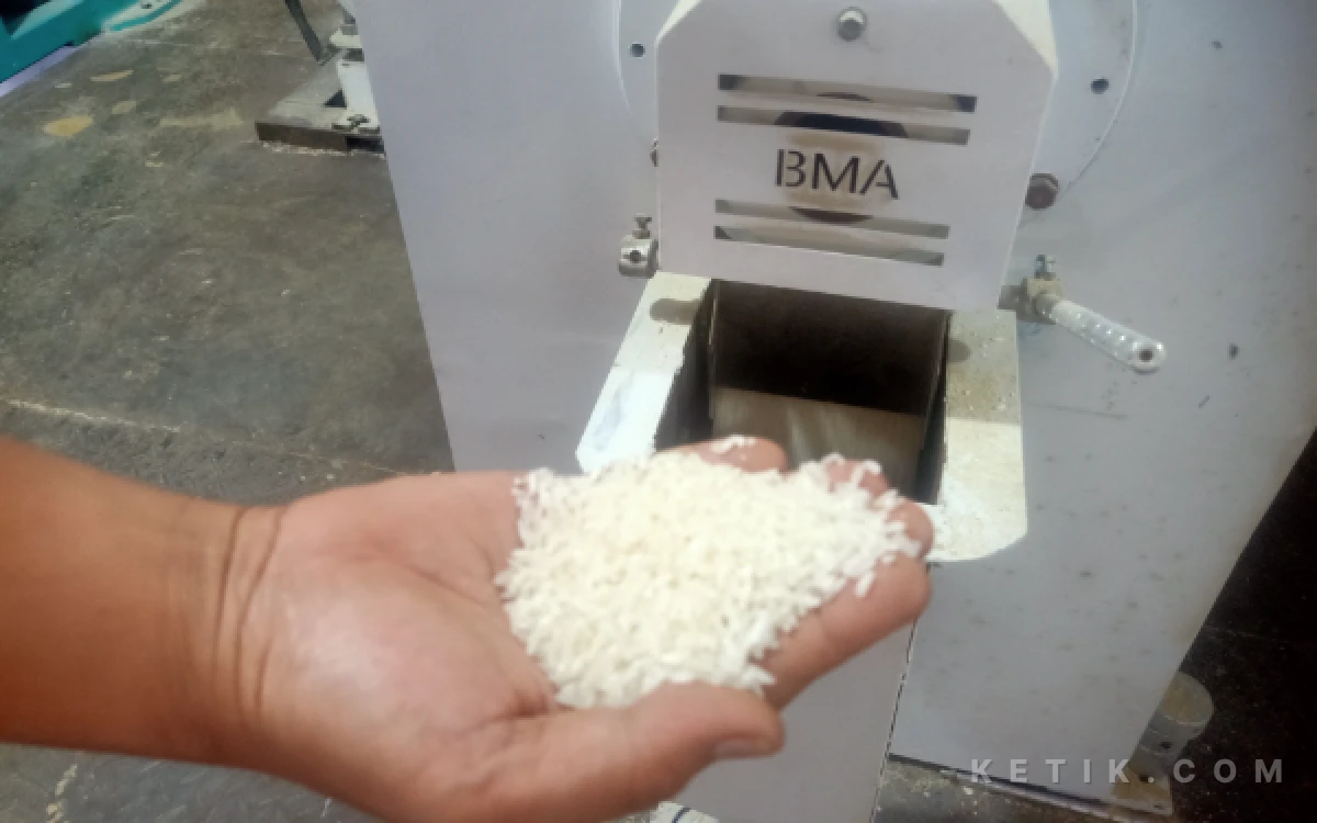 Foto Hasil proses beras bisa dilihat kualitasnya sebelum dilakukan dikemas. (Foto: Abdul Kohar/Ketik.com)