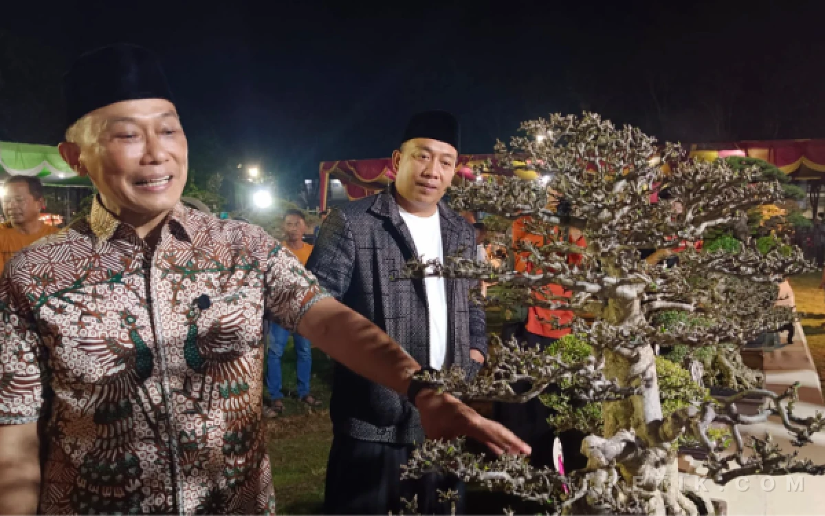 Thumbnail Berita - Festival Bonsai Nusantara Situbondo Bangkit, Diikuti Ratusan Koleksi dari Berbagai Daerah