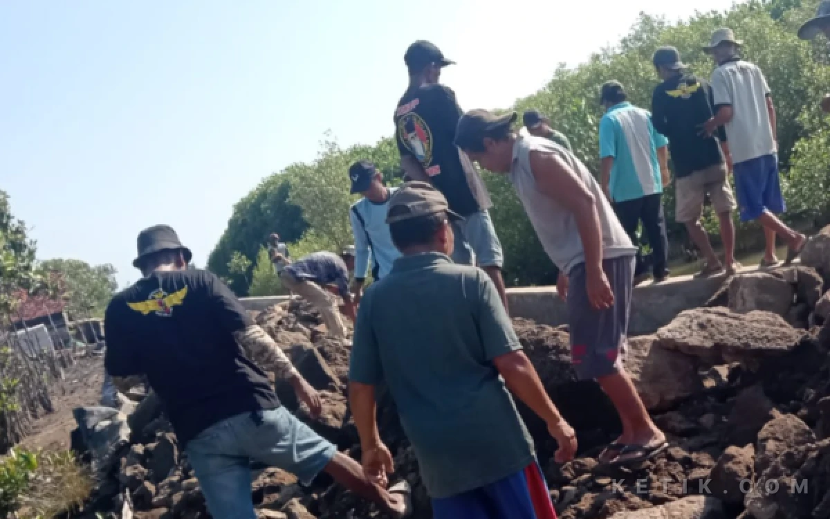 Thumbnail Berita - Atasi Dampak Rob, Ranting Pemuda Pancasila Kartikajaya Sumbang 20 Truk Tanah Uruk untuk Warga