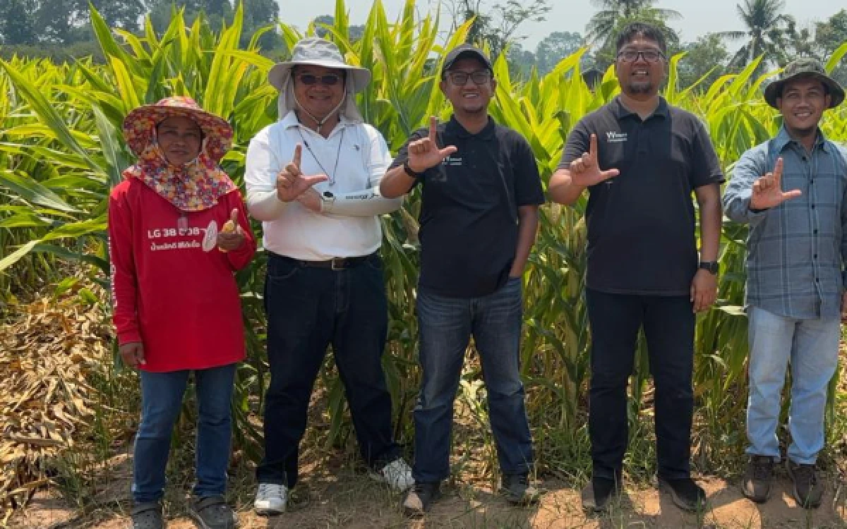 Foto PT Winmar mengunjungi area seed production, Limagrain, Thailand. (Foto: PT Winmar)