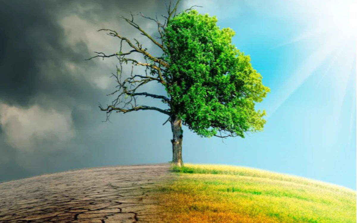 Thumbnail Berita - Cuaca Tak Menentu? Ini Tips dan Trik Jaga Kondisi Tubuh di Musim Pancaroba