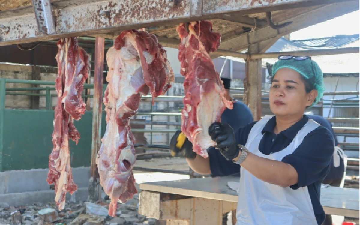 Thumbnail Berita - RPH Surabaya Siap Layani Pemotongan Kurban 2026, Pendaftaran Dibuka 20 April