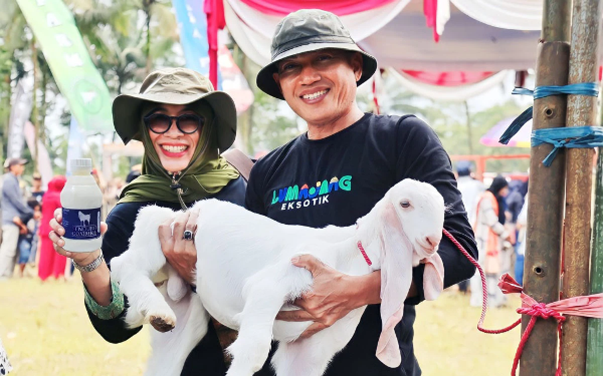 Thumbnail Berita - Susu Kambing Senduro Jadi Pengungkit Desa di Lumajang