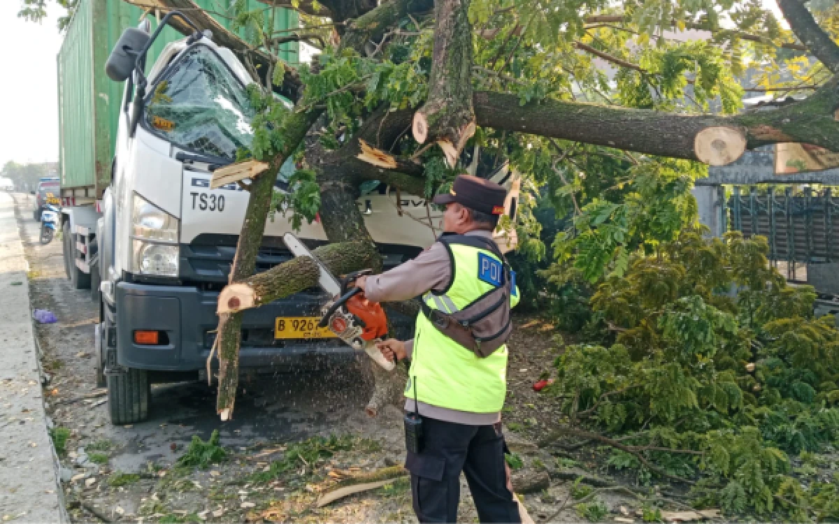 Thumbnail Berita - Truk Tractor Head Tabrak Pohon di Tarub Tegal, Sopir Selamat