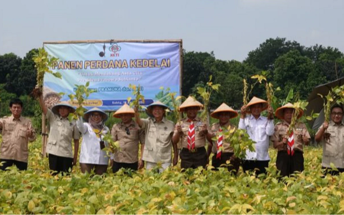 Thumbnail Berita - Panen Perdana, Kwarnas Pilih Kedelai untuk Kurangi Ketergantungan Impor