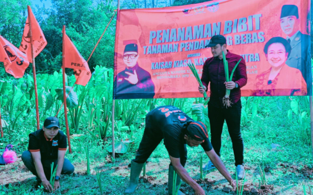 Thumbnail Berita - Dukung Ketahanan Pangan, Anggota DPR RI Kaisar Tanam Ratusan Pohon Pendamping Beras di Kecamatan Kroya