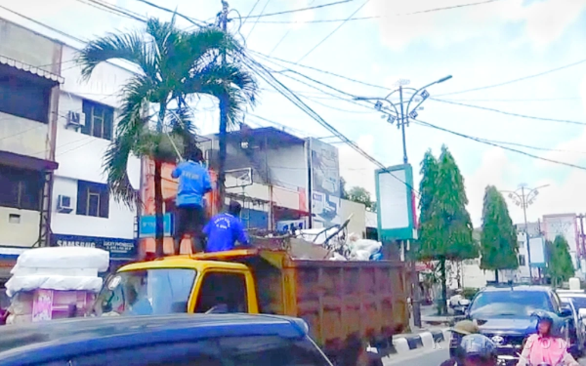 Thumbnail Berita - Rantauprapat Heboh! Ular Piton 3 Meter Bersarang di Pohon Taman Kota