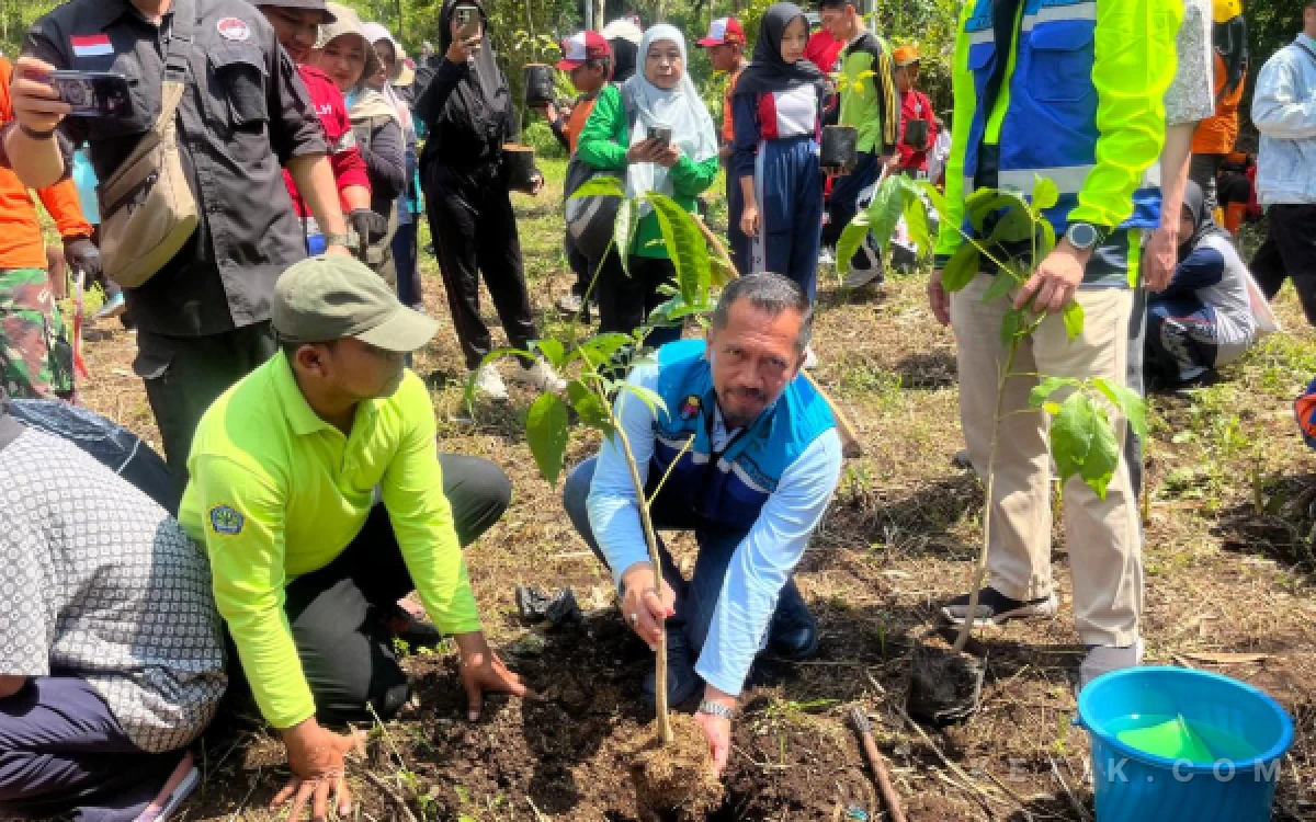 Foto Ilustrasi ketika Plh Kepala DLH Kota Malang sedang melakukan penanaman pohon di kawasan TPA Supit Urang sebagai upaya mengatasi capaian RTH di Kota Malang. (Foto: Lutfia/Ketik.com)